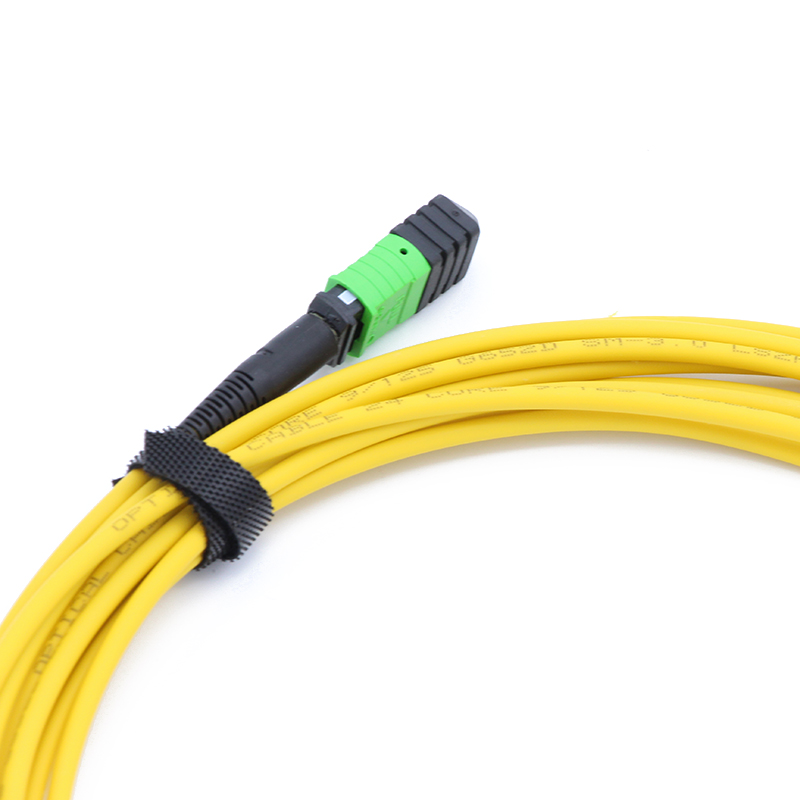 MPO to MPO Trunk Cable 12 Fibers MPO Female Connector SM LSZH Patch Cable