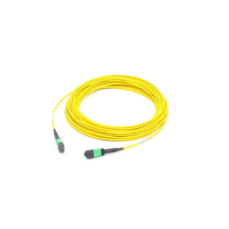 MTP to MTP Female Singlemode 3.0mm LSZH 12 Fibers MTP Trunk Cable Custom Meters