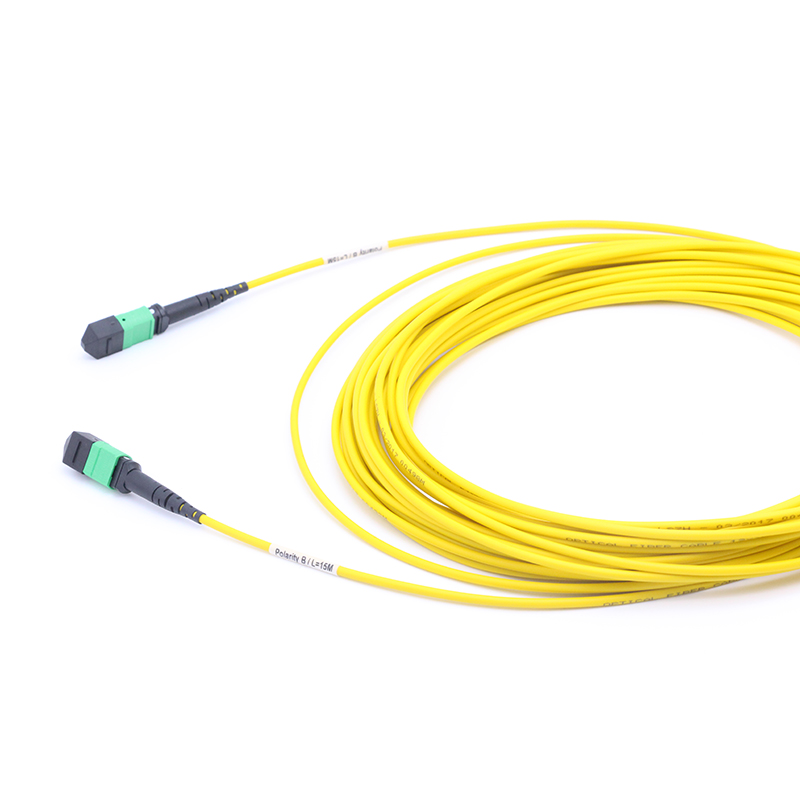 MTP to MTP Female Singlemode 3.0mm LSZH 12 Fibers MTP Trunk Cable Custom Meters