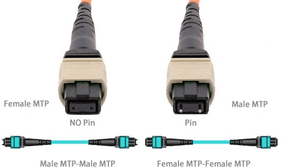 24F MTP Trunk Cable 2