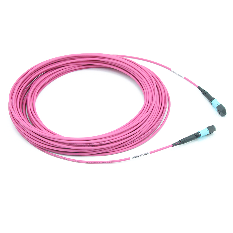 MTP to MTP Female OM4 12F MTP Trunk Cable 3.0mm LSZH Custom Meters