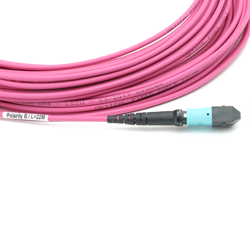 MTP to MTP Female OM4 12F MTP Trunk Cable 3.0mm LSZH Custom Meters