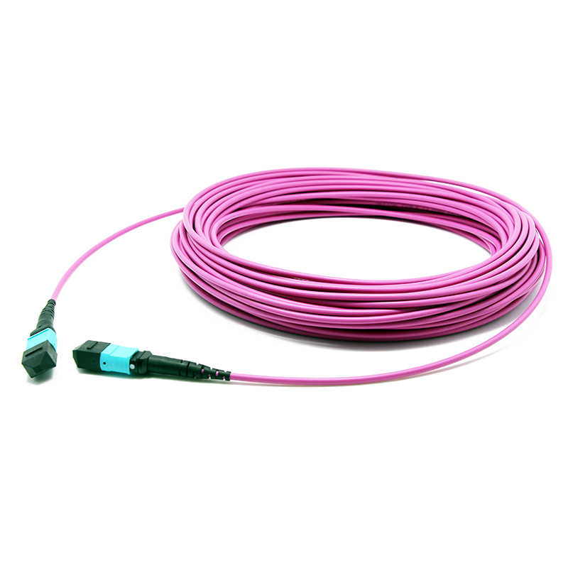MTP to MTP Female OM4 12F MTP Trunk Cable 3.0mm LSZH Custom Meters