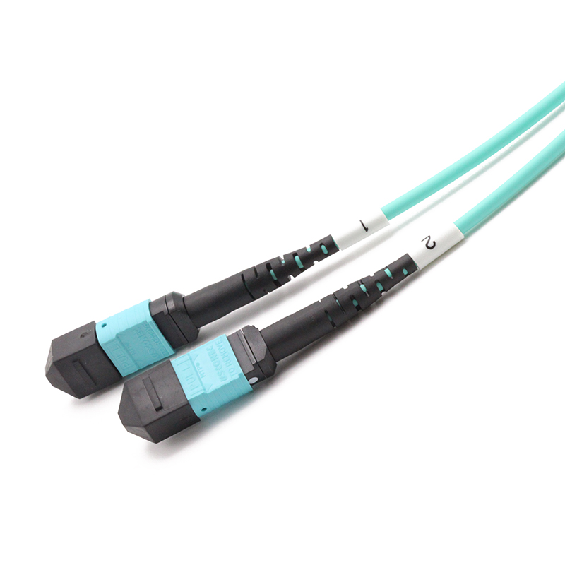 MTP to MTP Female Duplex OM3 24 Fibers MTP Trunk Cable 3.0mm LSZH Custom Meters