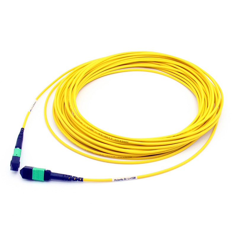 MTP to MTP Female 24 Fibers Singlemode MTP Trunk Cable 3.0mm LSZH Custom Meters