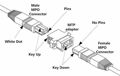 24-144F MPO-MPO Trunk cable 3