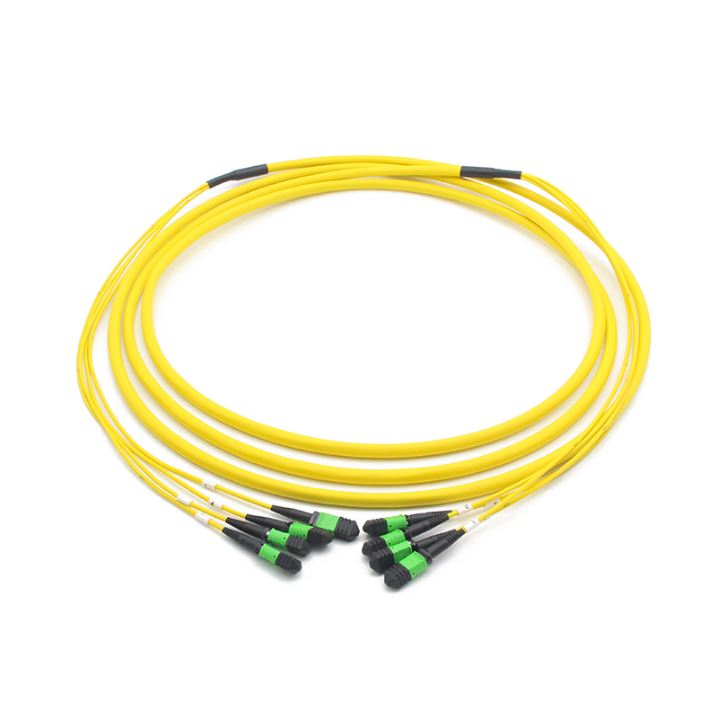 MPO to MPO Female Singlemode 48 Cores Singlemode MPO Trunk Cable