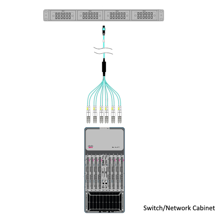 Standard MTP to LC Harness Cable Use Case